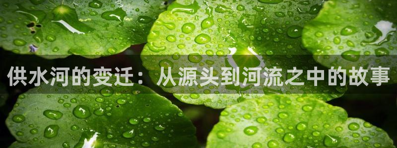 球友会app干啥的