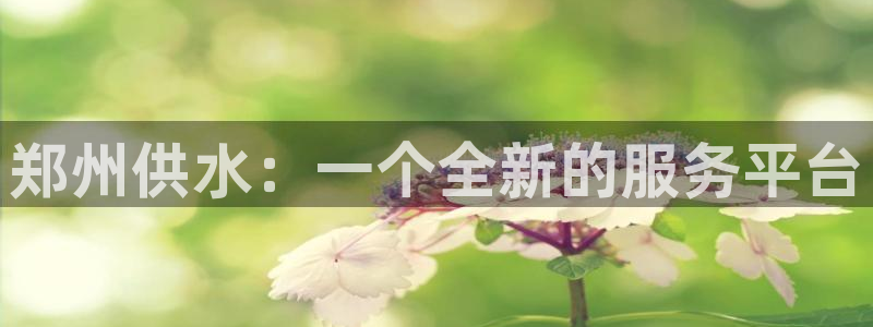 球友会英文怎么说呢翻译