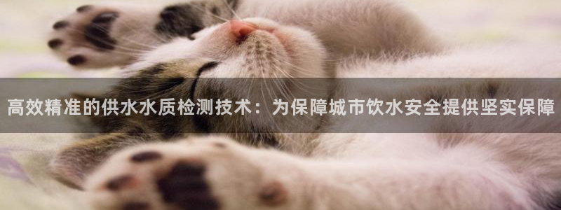 球友会体育官网