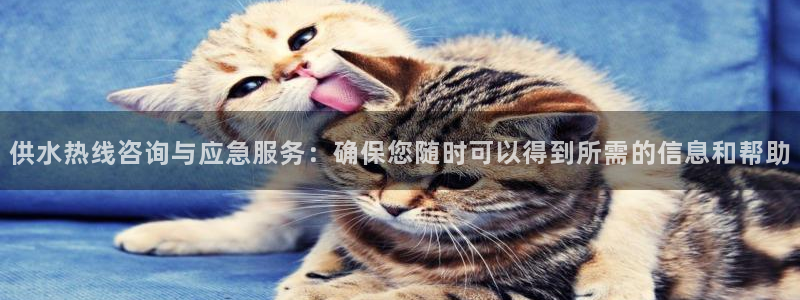 球友会友谊赛7月28日曼联阿森纳